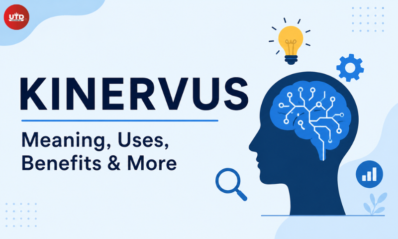 Kinervus: Simple, Clear, and Easy Explanation Kinervus