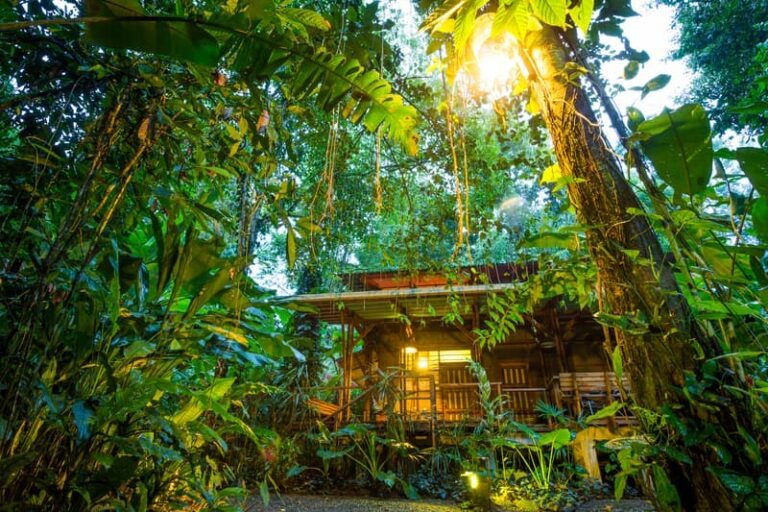 How Luxury Lodges Provide the Perfect Balance of Adventure and Relaxation Luxury Lodges